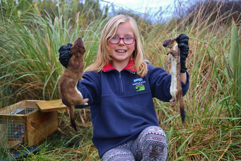 Kayla Sutton -from Matakana School - and stoats June 2016 - permission to use given -credit Hayley Sutton - small